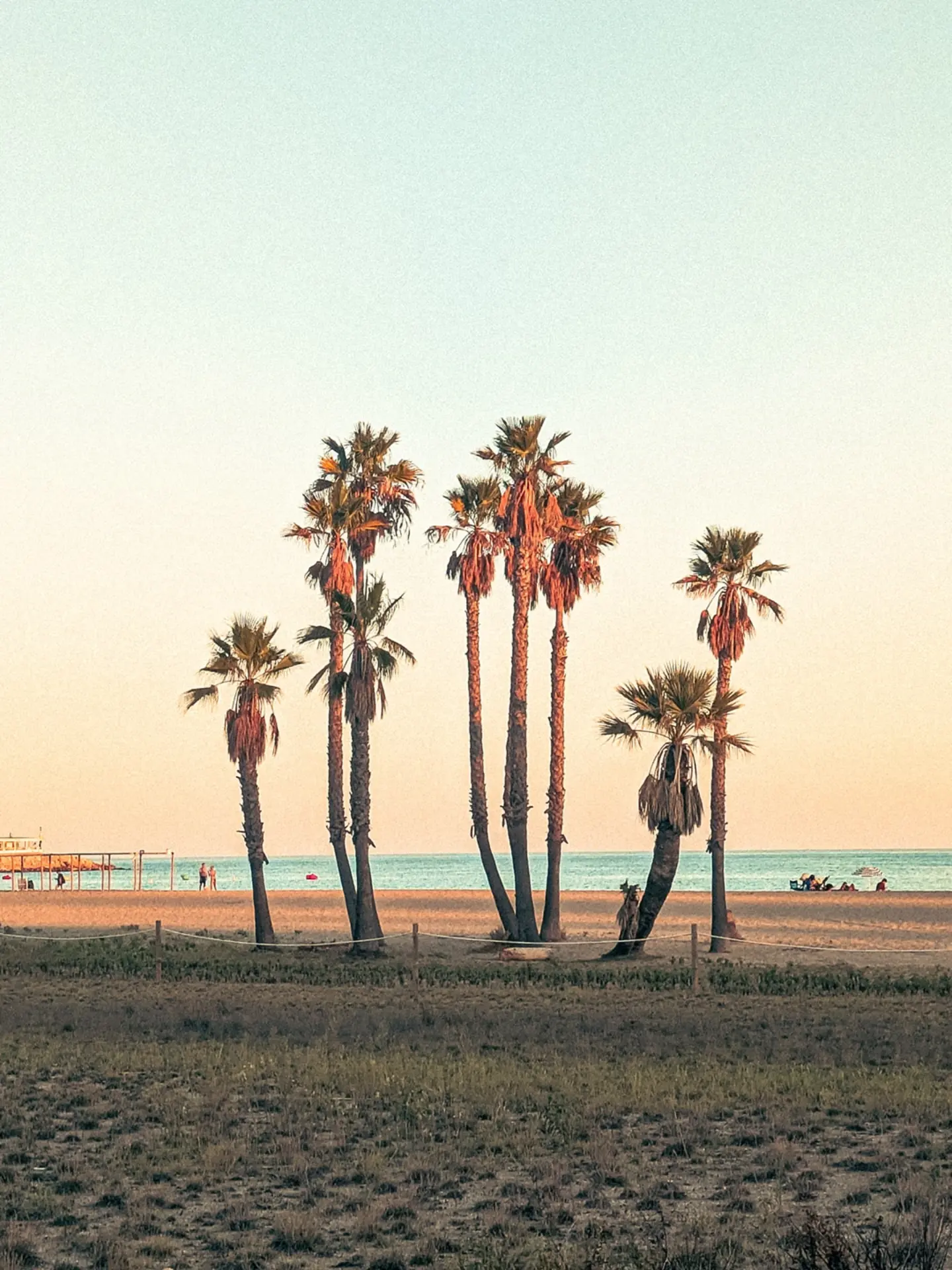 Photograph from Brent de Rooy on Instagram